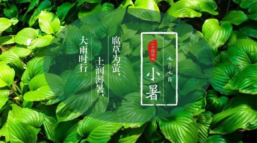 小暑時節來到！金環電器提醒大家要注意的事項