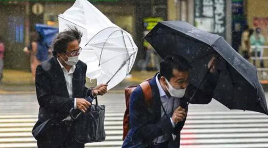 強臺風“梅花”來襲！小型烘干機快速解決內衣褲難干問題